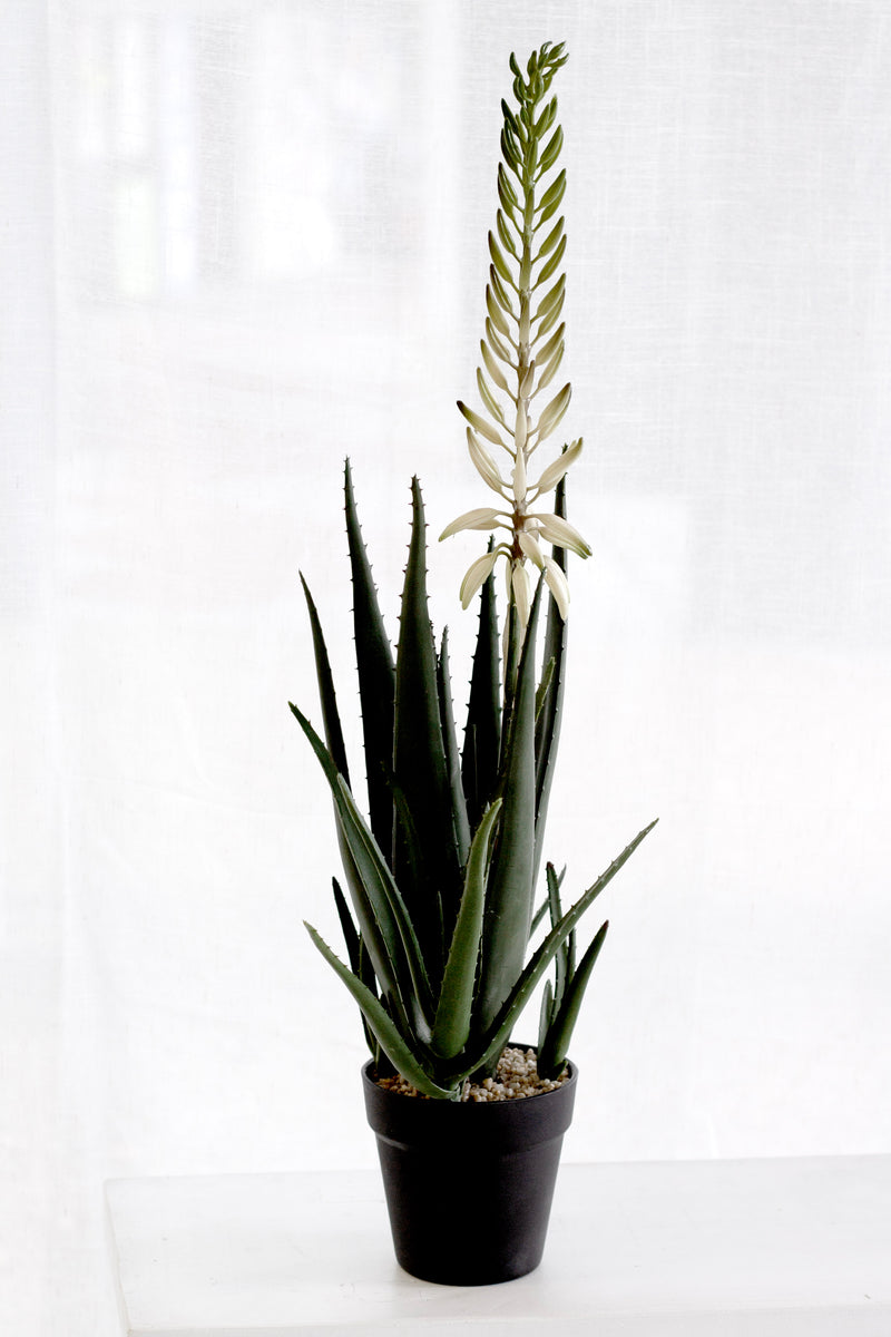 Flowering Aloe Vera Potted – 79cm Artificial Plant