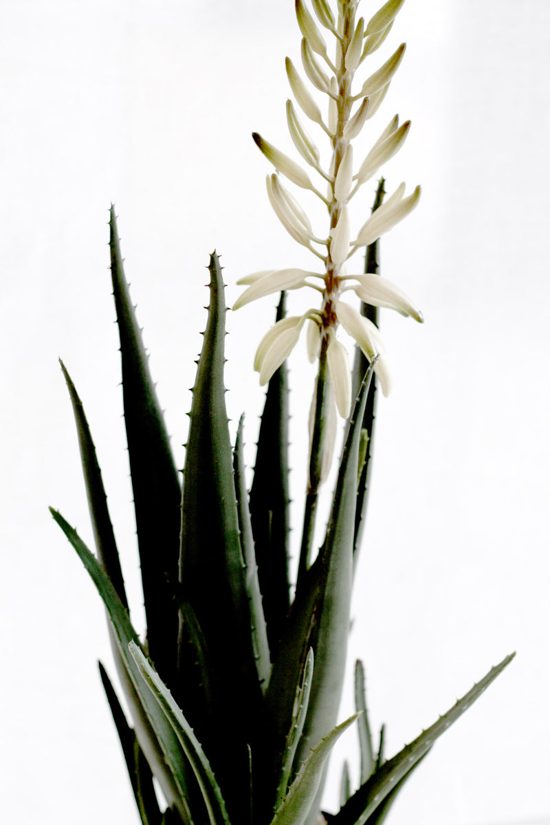 Flowering Aloe Vera Potted – 79cm Artificial Plant