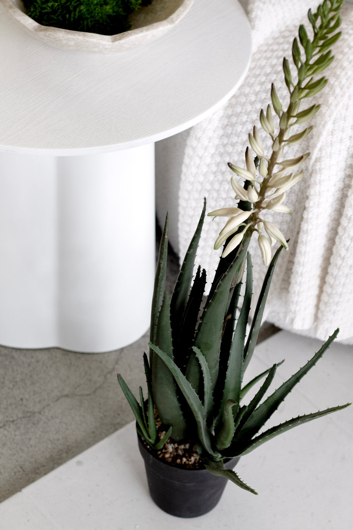 Flowering Aloe Vera, 79cm Potted Faux Plant