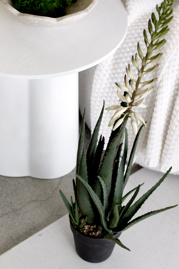 Flowering Aloe Vera Potted – 79cm Artificial Plant