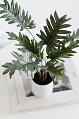 Potted Xanadu Philodendron – Realistic Faux Plant in Ceramic Pot 38cm