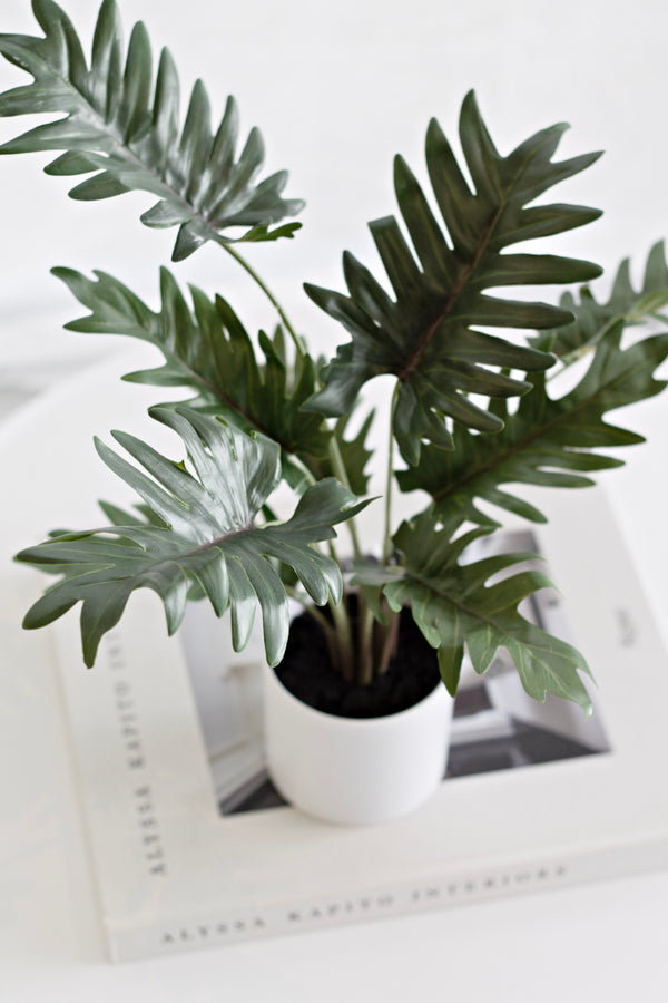 Potted Xanadu Philodendron – Realistic Faux Plant in Ceramic Pot 38cm