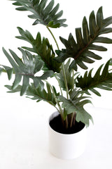 Potted Xanadu Philodendron – Realistic Faux Plant in Ceramic Pot 38cm