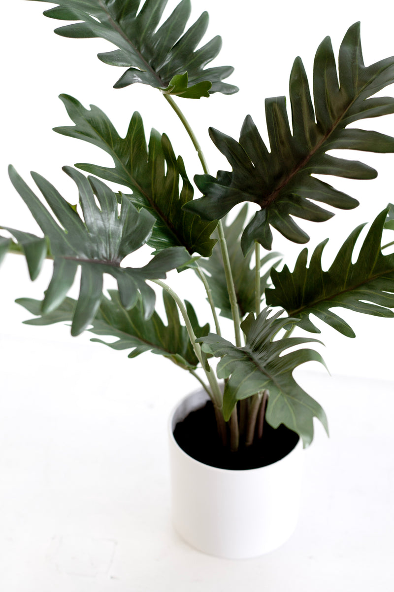 Potted Xanadu Philodendron – Realistic Faux Plant in Ceramic Pot 38cm