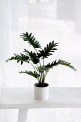 Potted Xanadu Philodendron – Realistic Faux Plant in Ceramic Pot 38cm