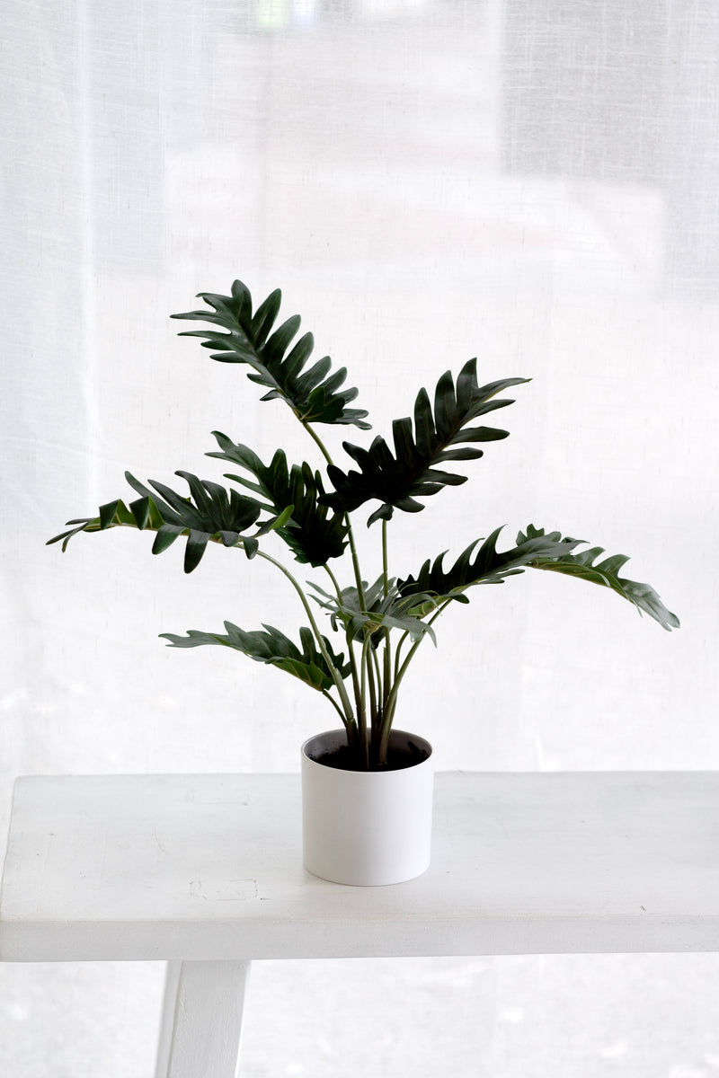Potted Xanadu Philodendron – Realistic Faux Plant in Ceramic Pot 38cm