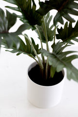 Potted Xanadu Philodendron – Realistic Faux Plant in Ceramic Pot 38cm