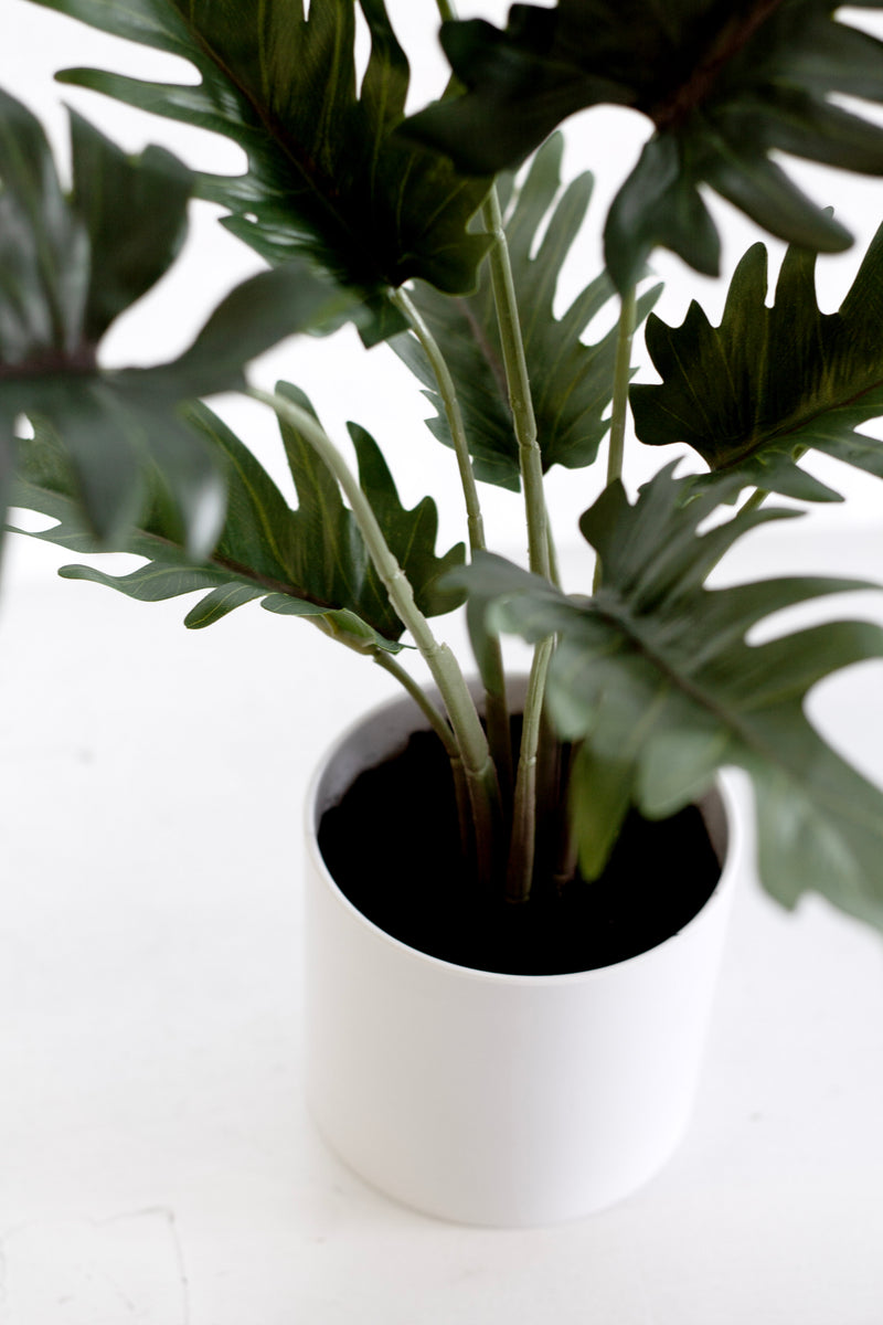 Potted Xanadu Philodendron – Realistic Faux Plant in Ceramic Pot 38cm