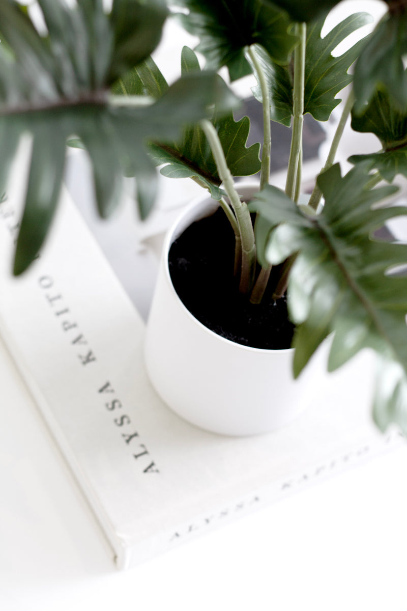 Potted Xanadu Philodendron – Realistic Faux Plant in Ceramic Pot 38cm