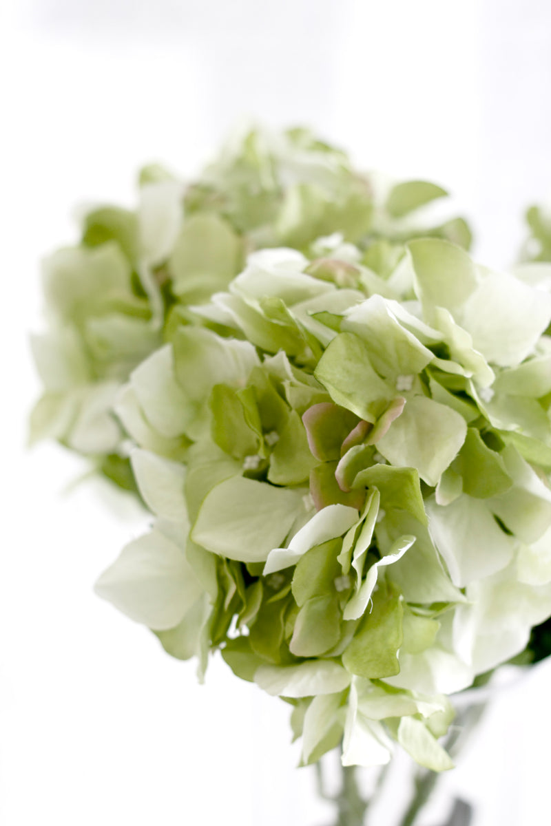 Sublime Hydrangea Green 65cm – Artificial Flower Stem