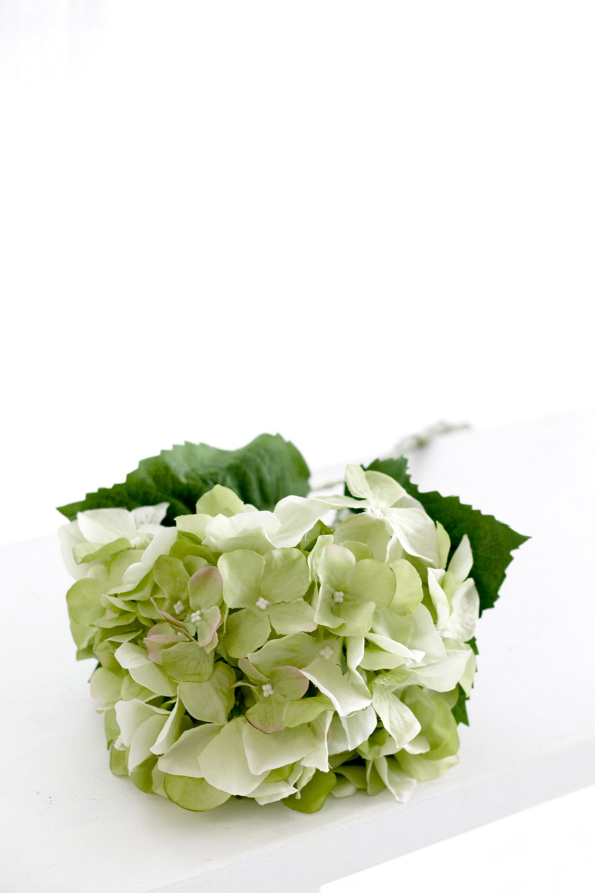 Single faux green hydrangea bloom with leaves resting on a white surface