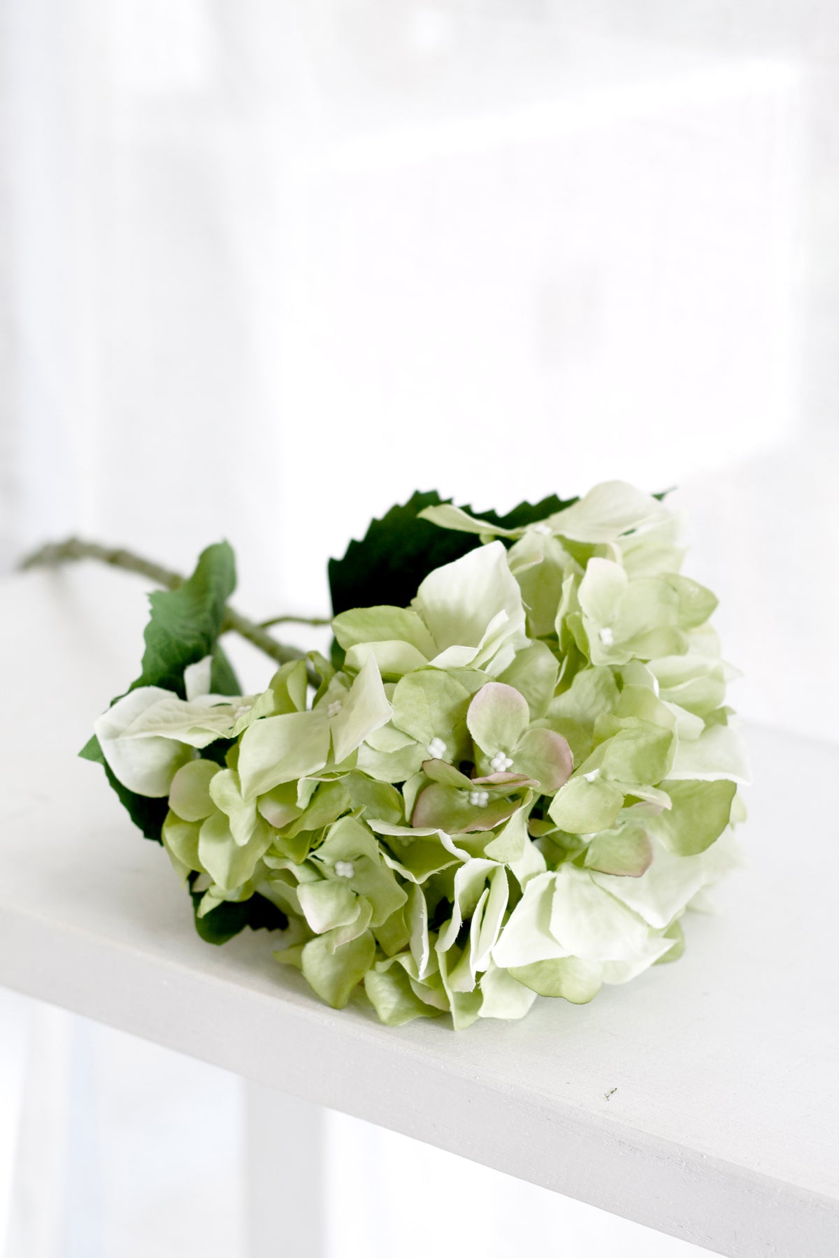 Faux green hydrangea bloom lying on a white shelf