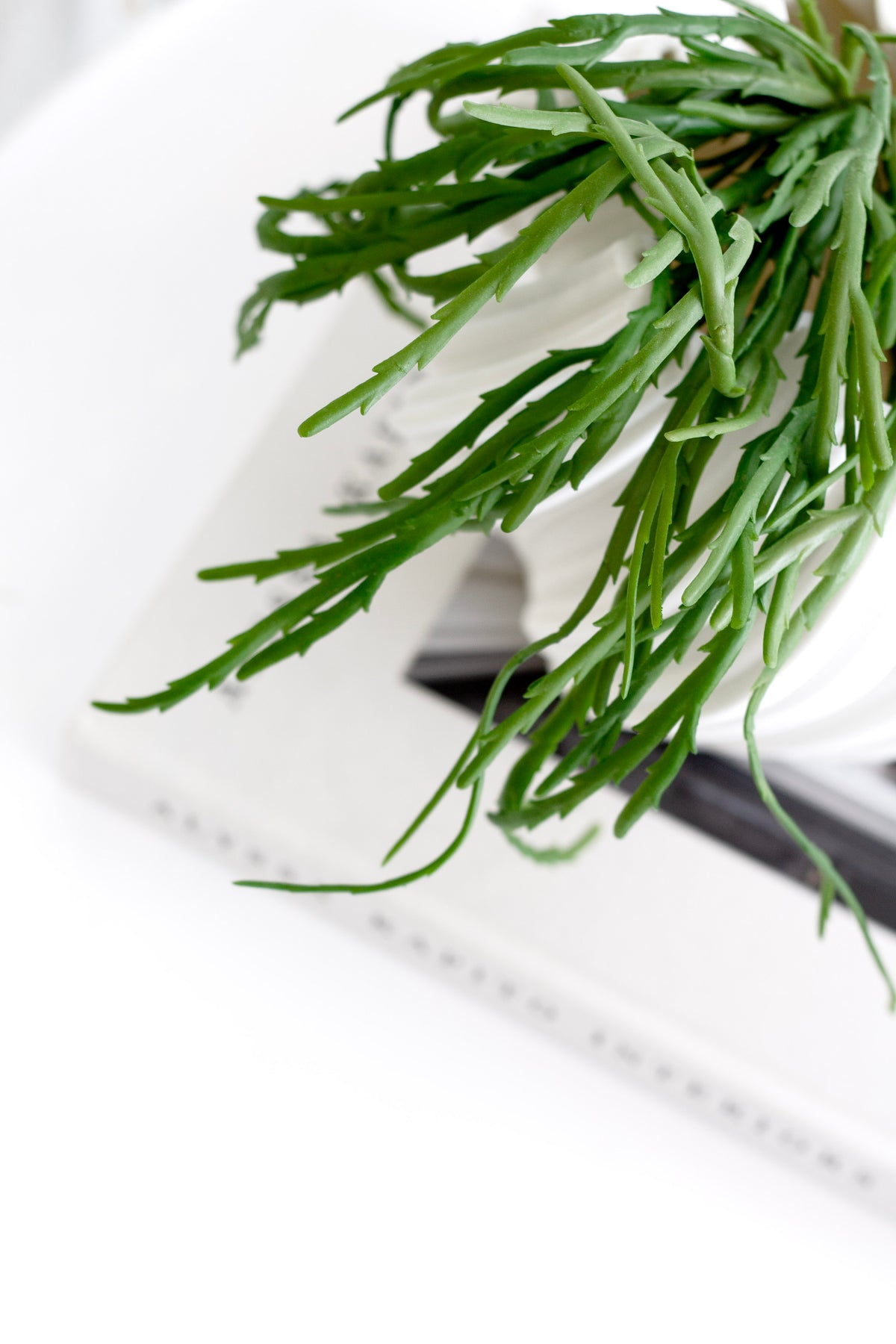 Close crop of the trailing green stems spilling across a white surface