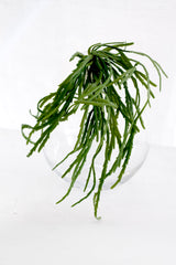 Artificial Stick Plant – Wild Grass Style 45cm