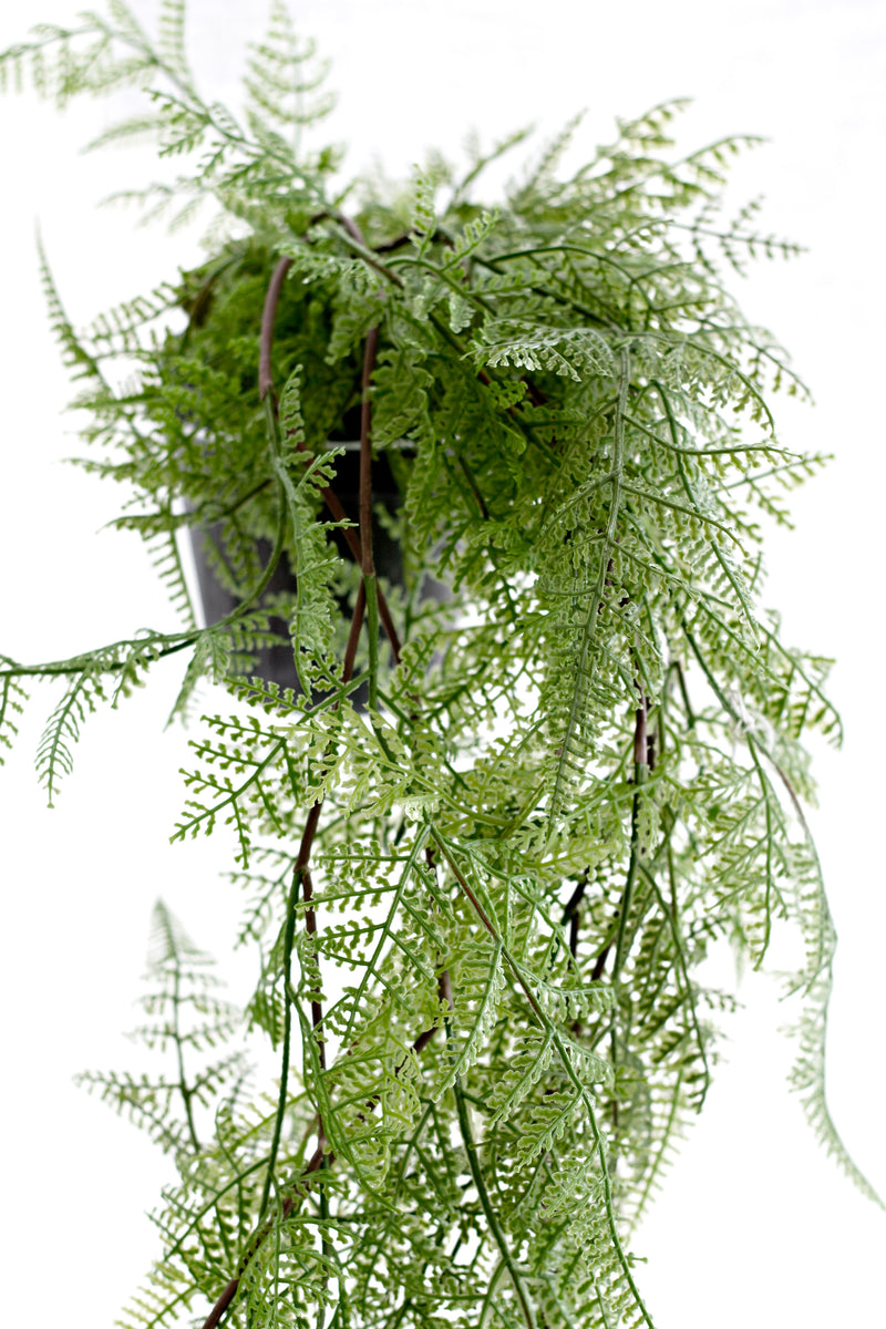 Potted Hanging Fern – Lifelike Cascading Greenery for Easy Styling