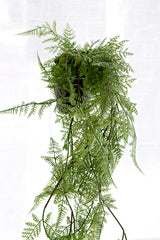 Potted Hanging Fern – Lifelike Cascading Greenery for Easy Styling