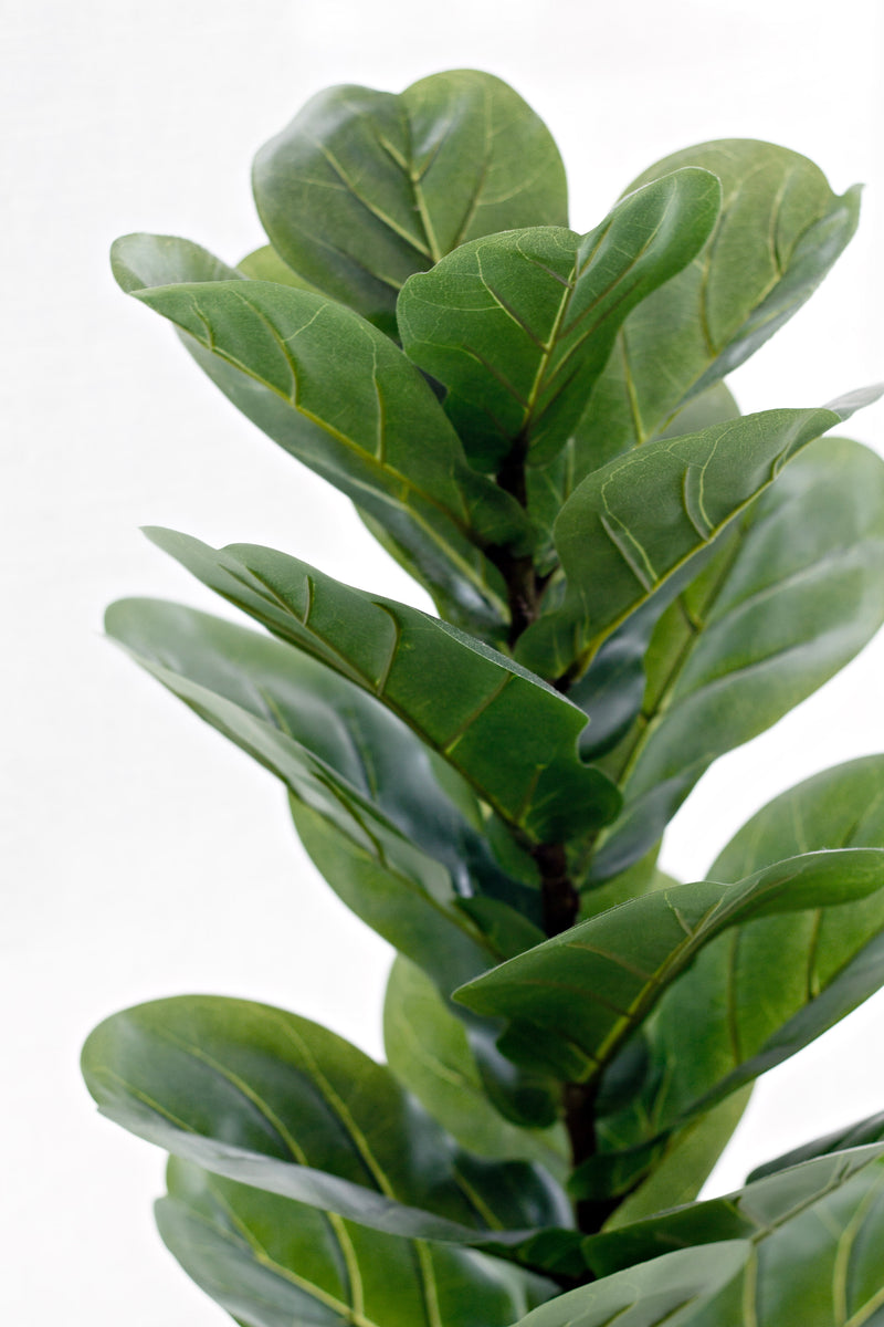 Fiddle Leaf Fig Plant – 71cm Artificial Potted Greenery
