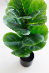 Fiddle Leaf Fig Plant – 71cm Artificial Potted Greenery