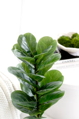 Fiddle Leaf Fig Plant – 71cm Artificial Potted Greenery