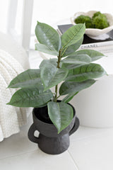 Faux Rubber Plant / Ficus in Black Pot – 56cm Artificial Indoor Greenery