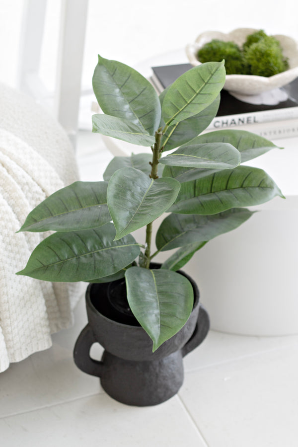 Faux Rubber Plant / Ficus in Black Pot – 56cm Artificial Indoor Greenery