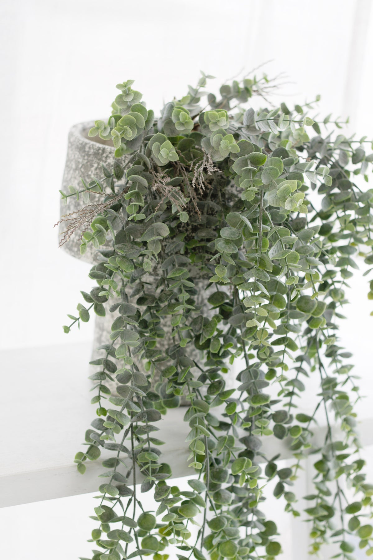 Grey-green eucalyptus cascading from a woven pot on a white shelf with a sheer curtain behind