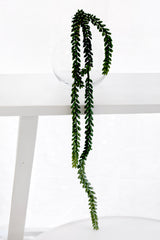 Artificial Burro's Tail (Sedum Morganianum) – Hanging Faux Succulent, 82cm
