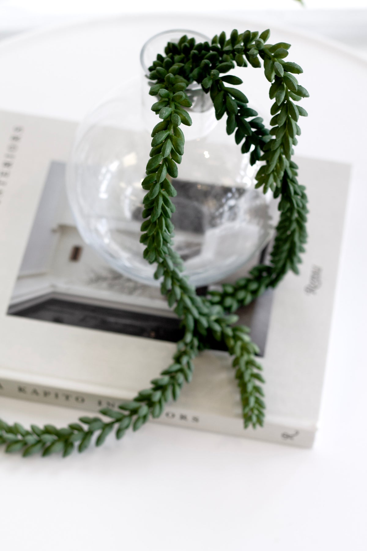 Burro's tail spilling from a glass bowl over a stack of books