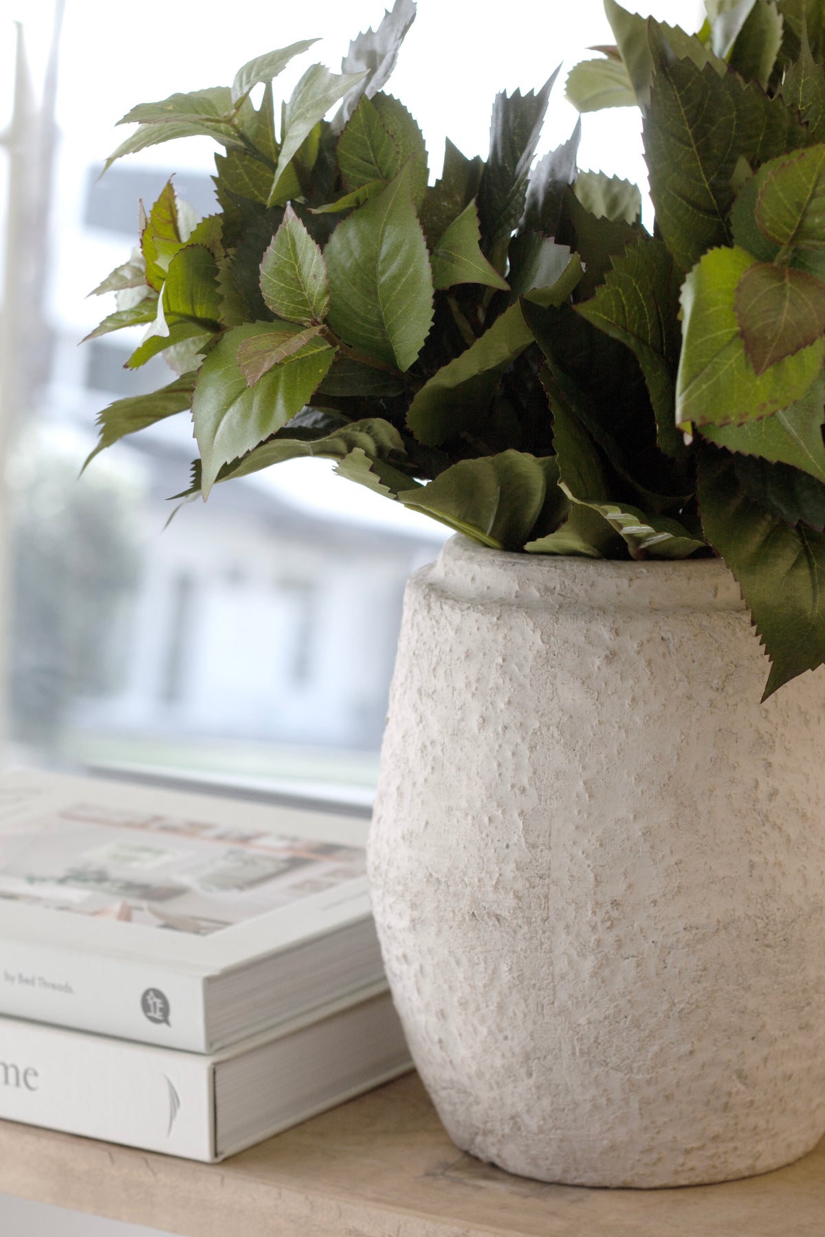 Leaf bush filling a textured cream stone vase on a timber bench by a bright window