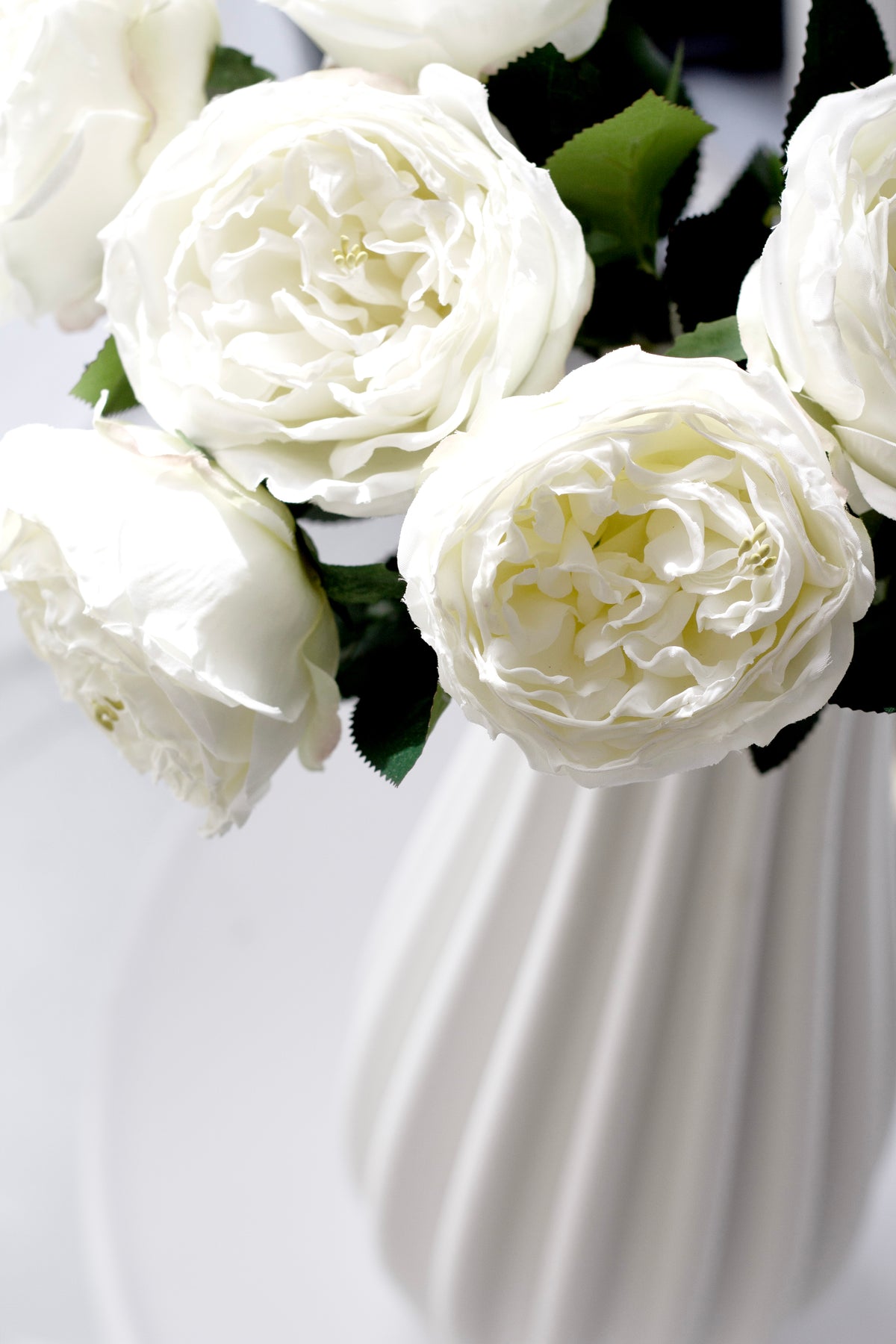 Close-up of the ivory Austin rose heads showing the layered, cupped petals