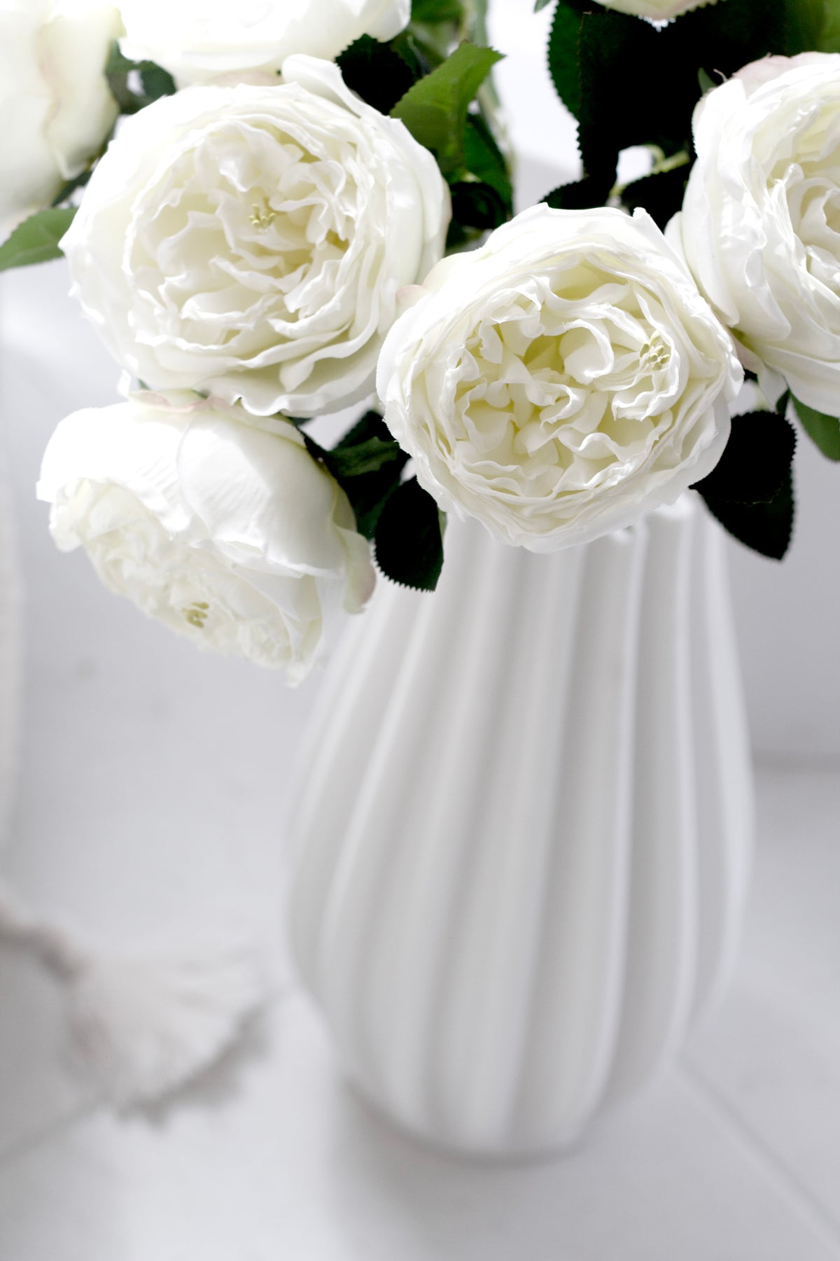 Ivory Austin roses in a white fluted vase against a plain white wall