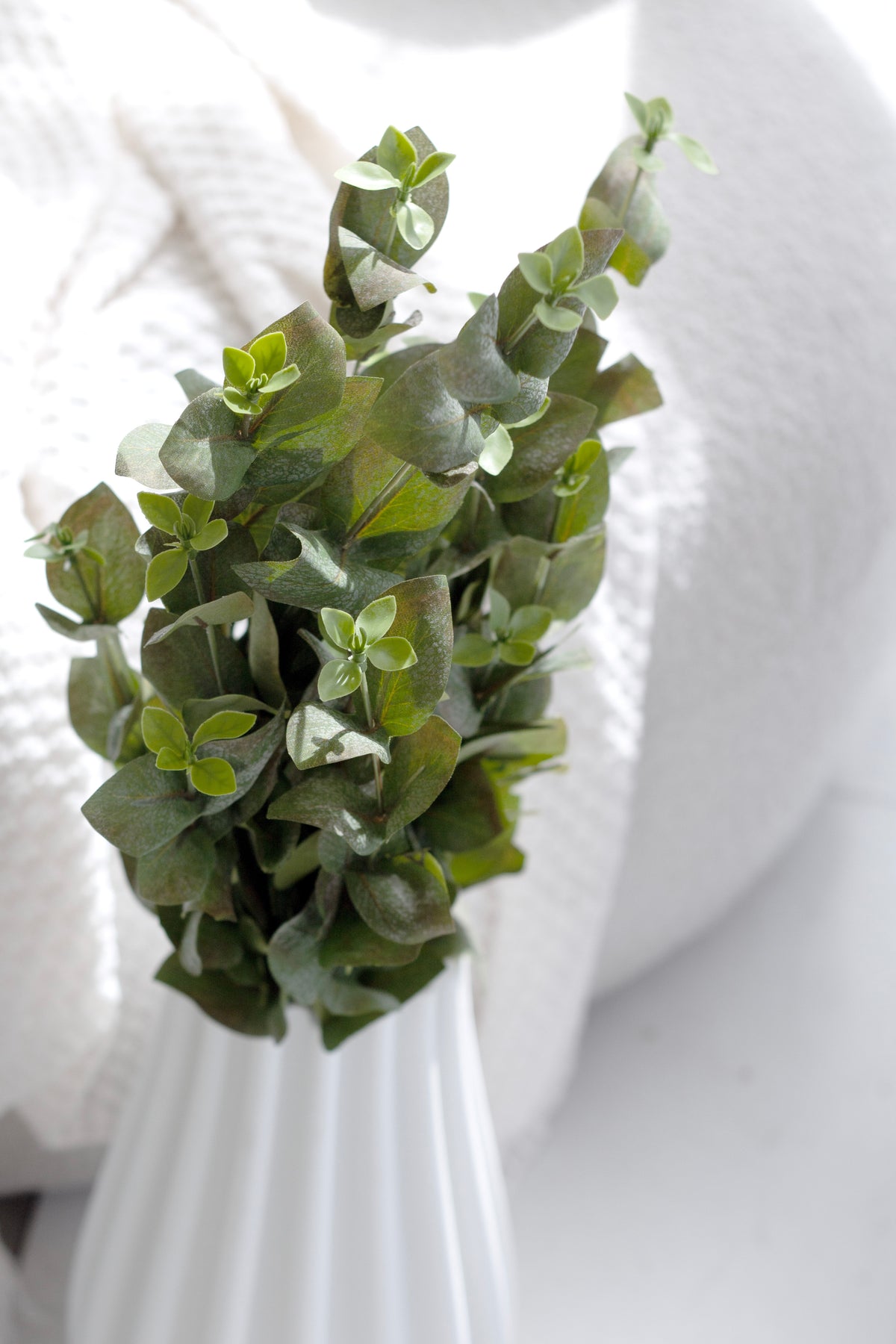 Beech leaf spray in a fluted vase, leaves catching soft window light