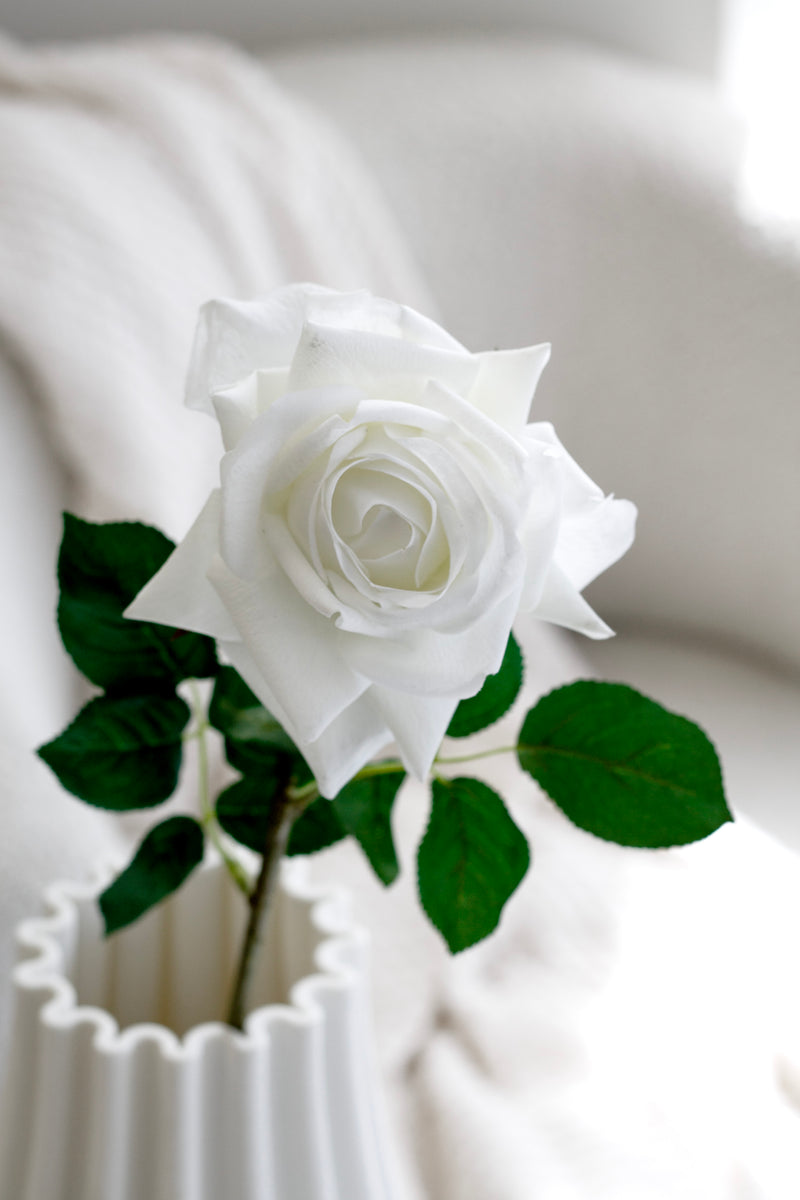 Aida Real Touch Rose – White / Peach | 65cm Faux Stem with Life-Like Feel