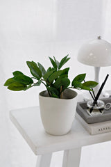 Zamifolia Potted Plant 31cm – Artificial Indoor Greenery