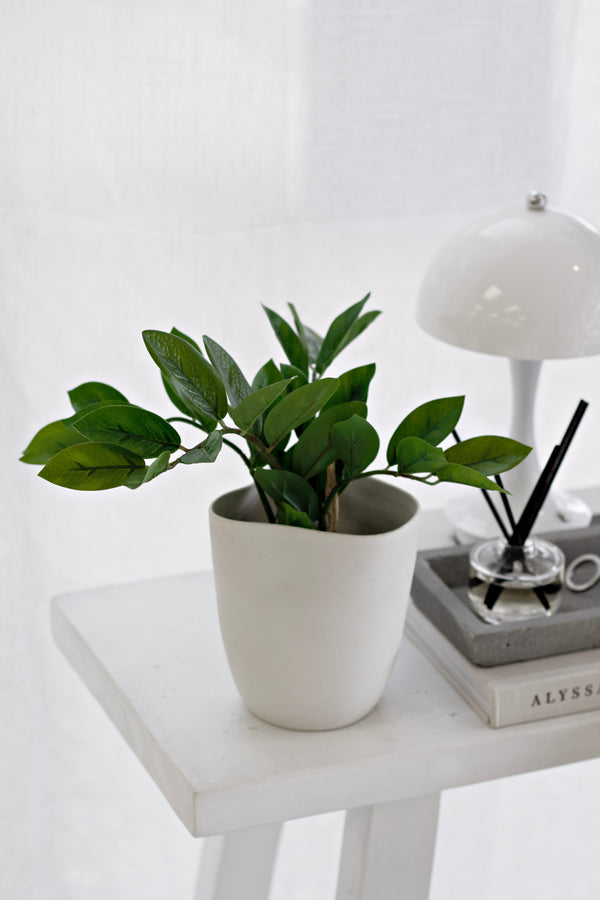 Zamifolia Potted Plant 31cm – Artificial Indoor Greenery