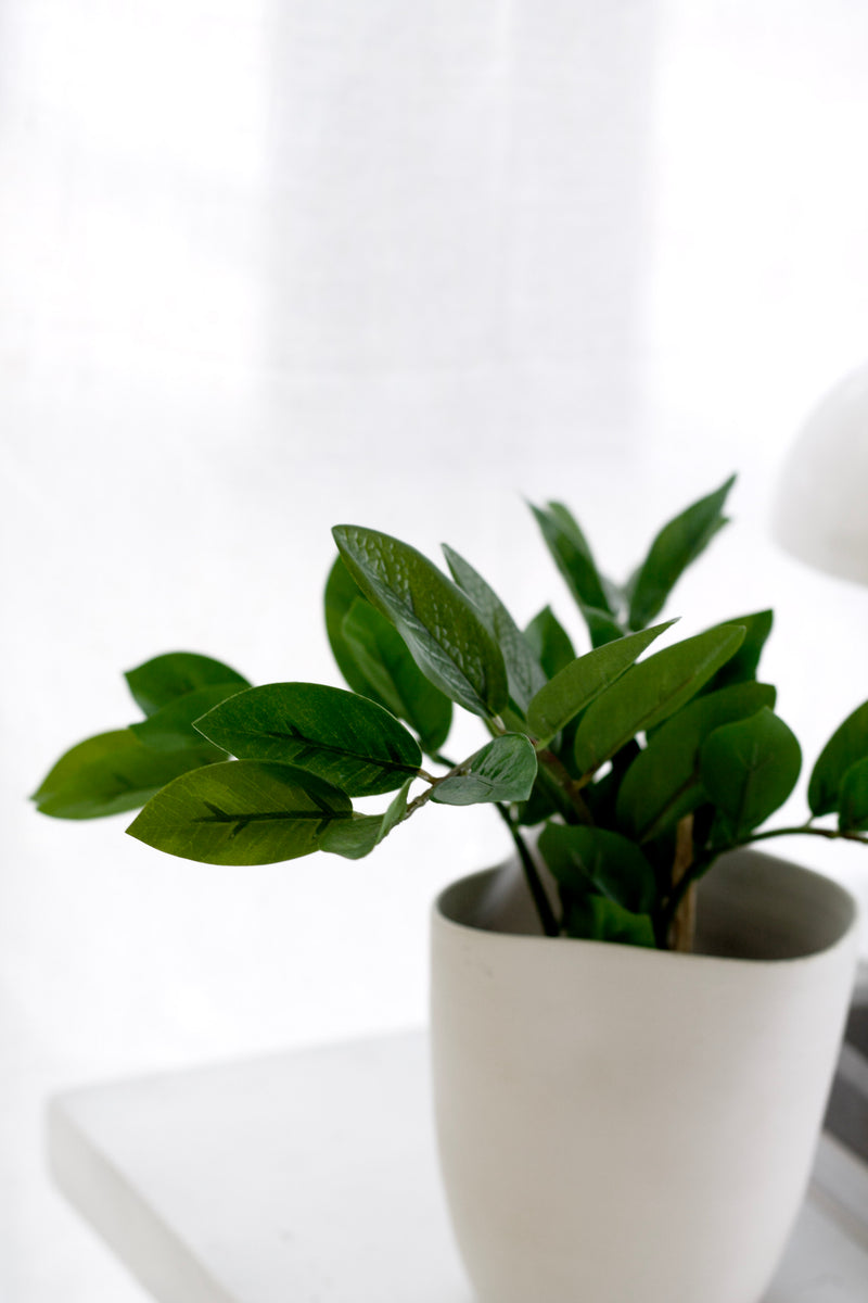 Zamifolia Potted Plant 31cm – Artificial Indoor Greenery