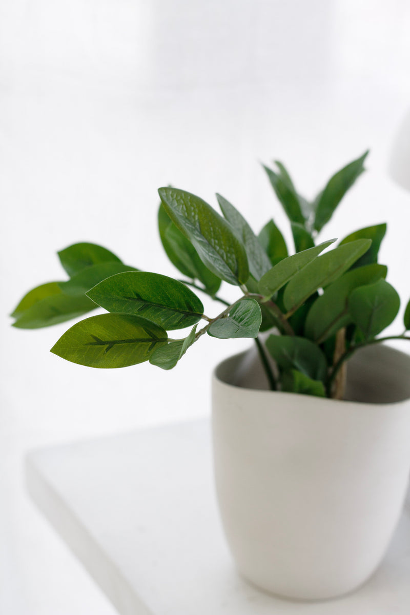 Zamifolia Potted Plant 31cm – Artificial Indoor Greenery