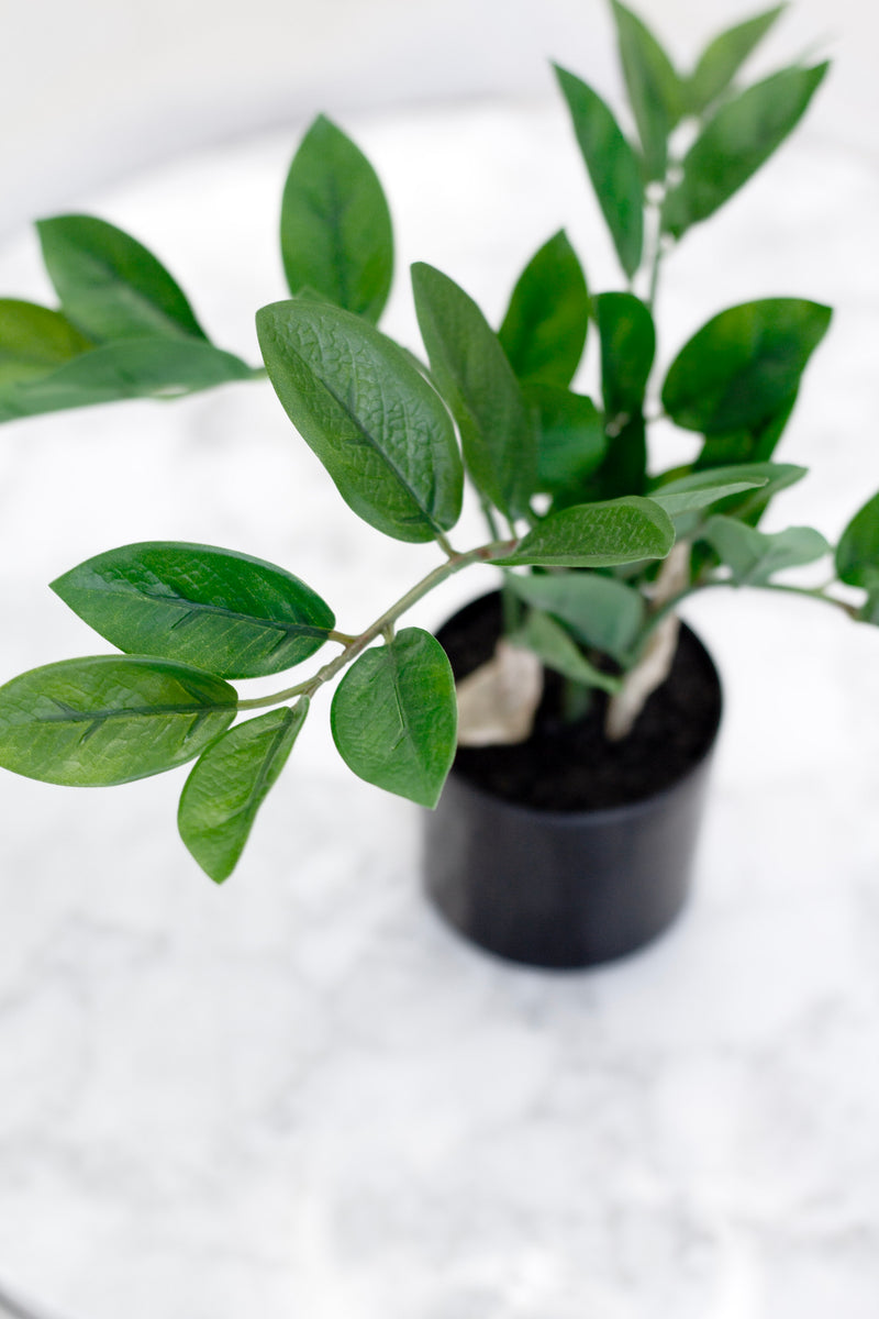 Zamifolia Potted Plant 31cm – Artificial Indoor Greenery