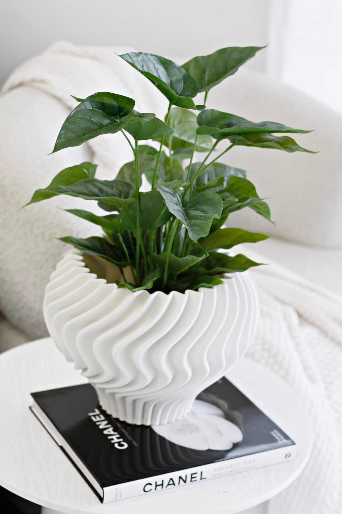 Anthurium bush in a swirled white vase on a black book on a round white table