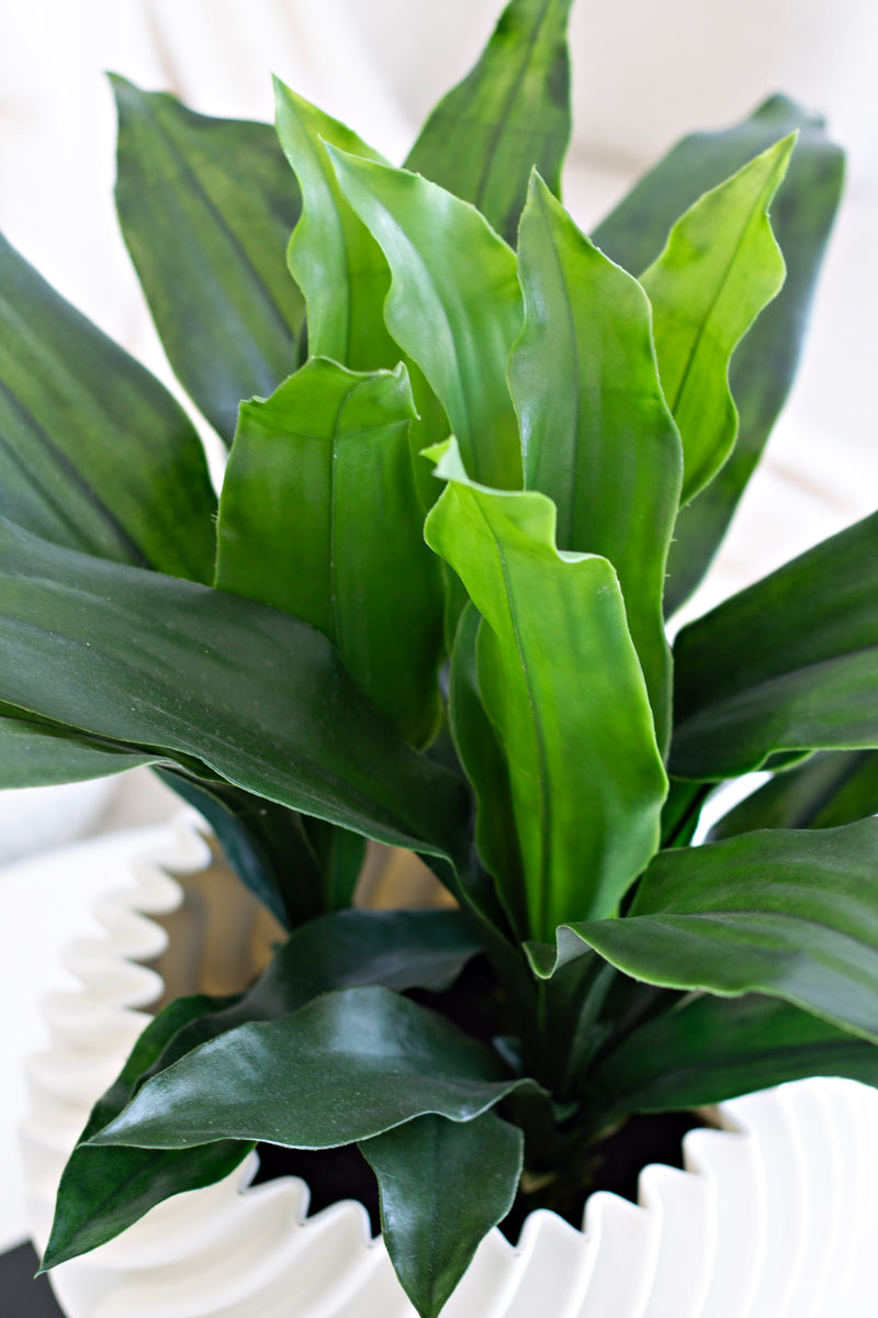 Plastic Potted Dracaena – Faux Plant 54cm in Black Pot