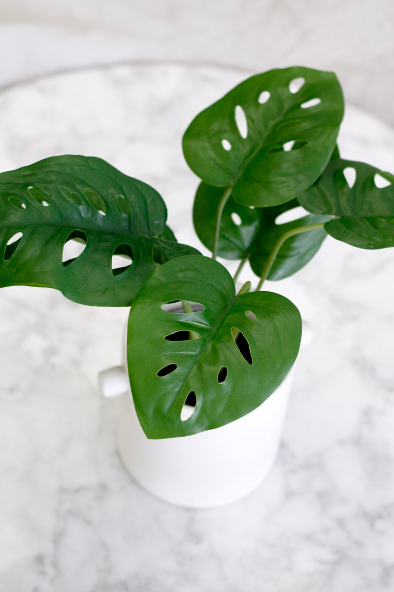 Artificial Swiss Cheese Plant – 24cm Potted Mini Monstera Decor