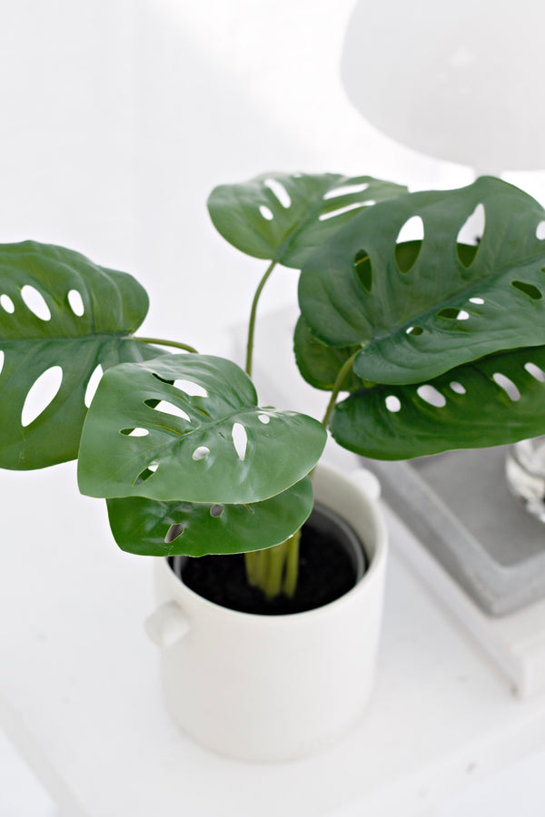 Artificial Swiss Cheese Plant – 24cm Potted Mini Monstera Decor