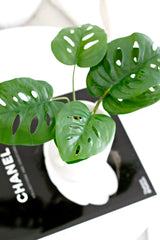 Artificial Swiss Cheese Plant – 24cm Potted Mini Monstera Decor
