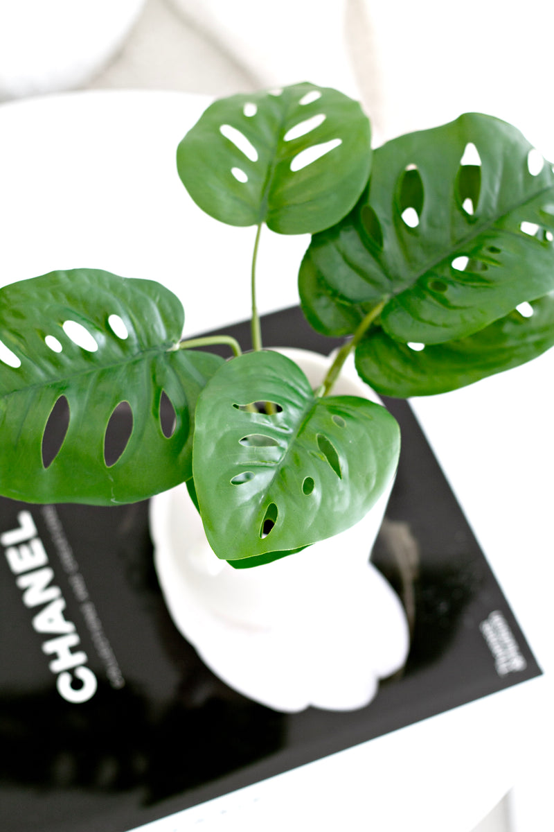 Artificial Swiss Cheese Plant – 24cm Potted Mini Monstera Decor