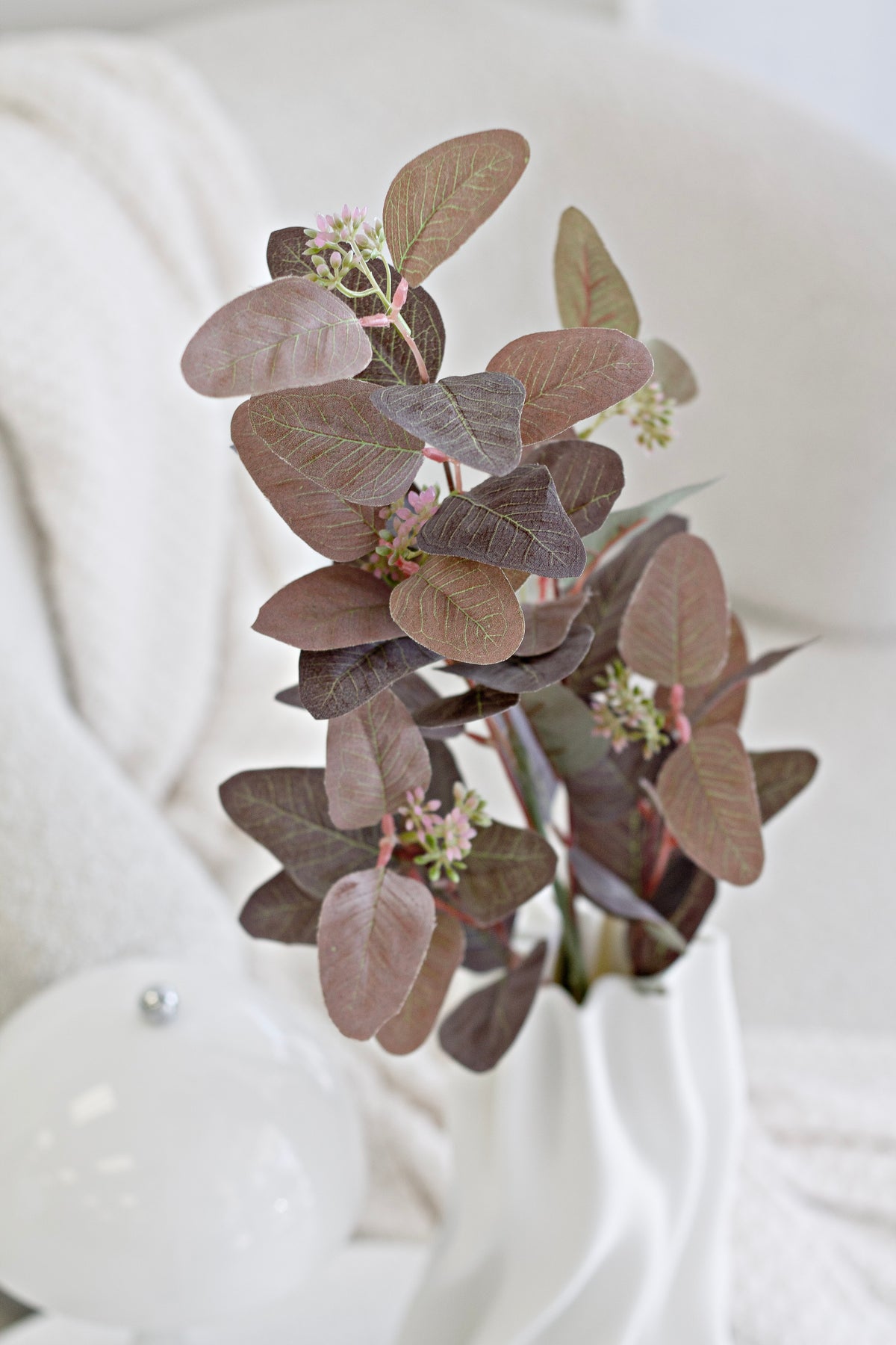 Close-up of the seeded gum leaves showing burgundy and soft green tones