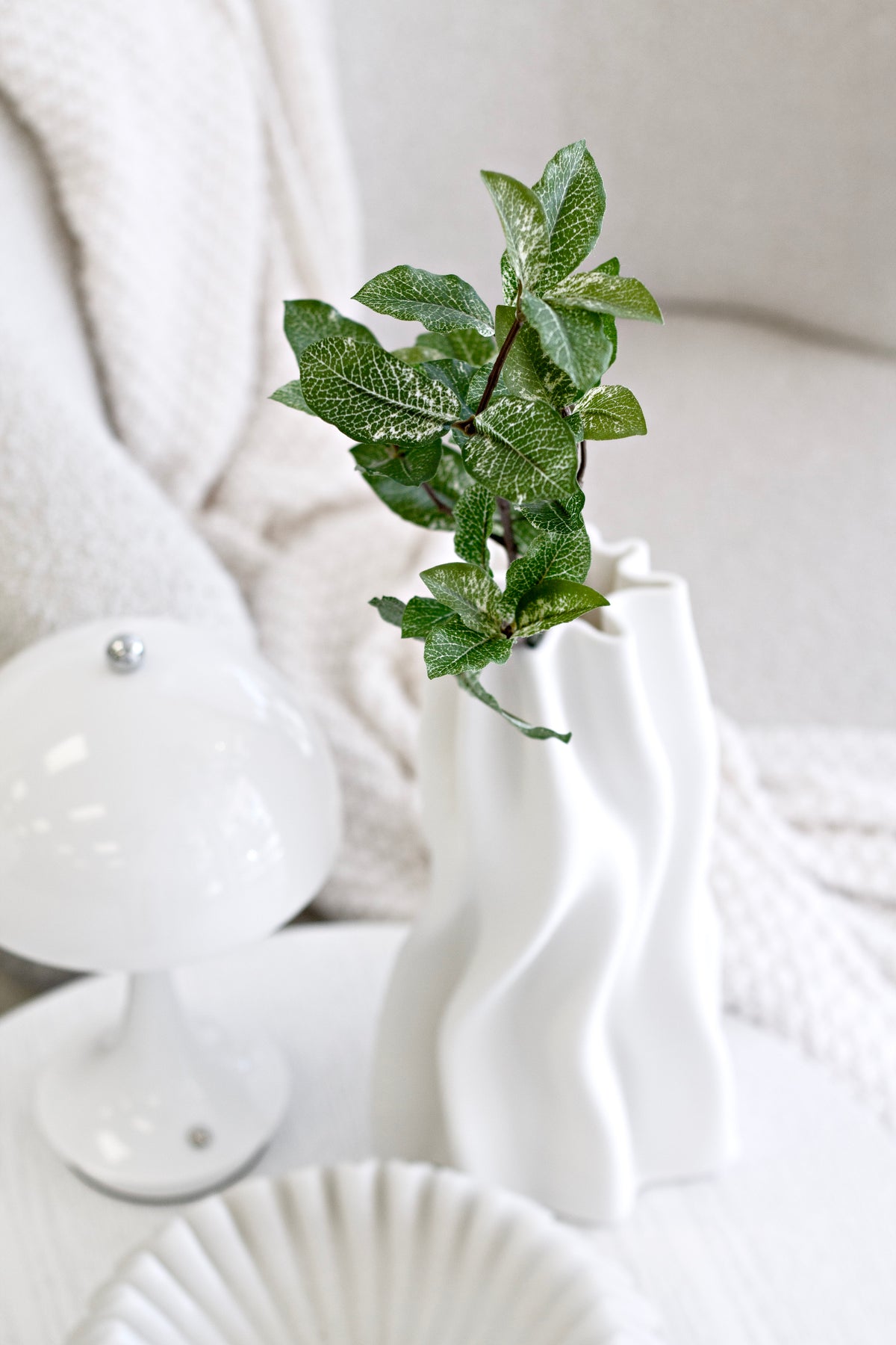 Pittosporum in a wavy white vase beside a white lamp and a scalloped dish