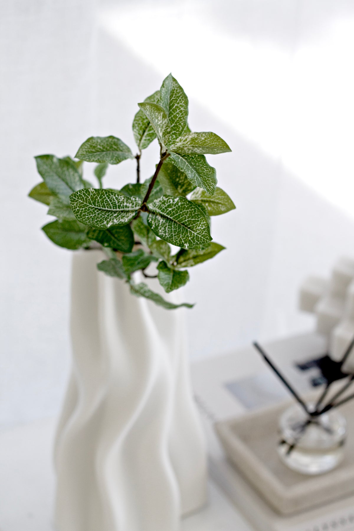 Pittosporum in a wavy white vase beside books