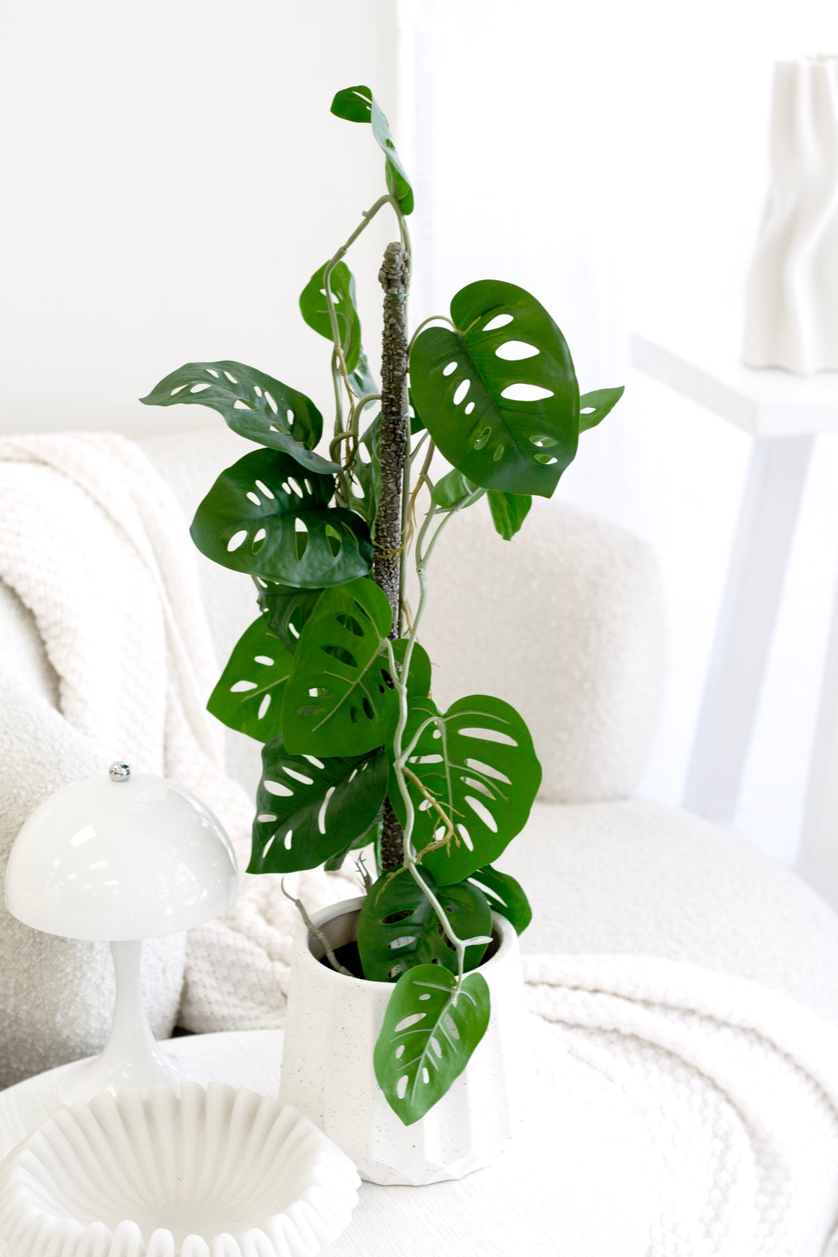 Swiss Cheese Vining Plant, 63.5cm Potted Faux Monstera