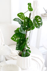 Fluted Speckle Ceramic Planter Neutral Stone – Modern Textured Pot