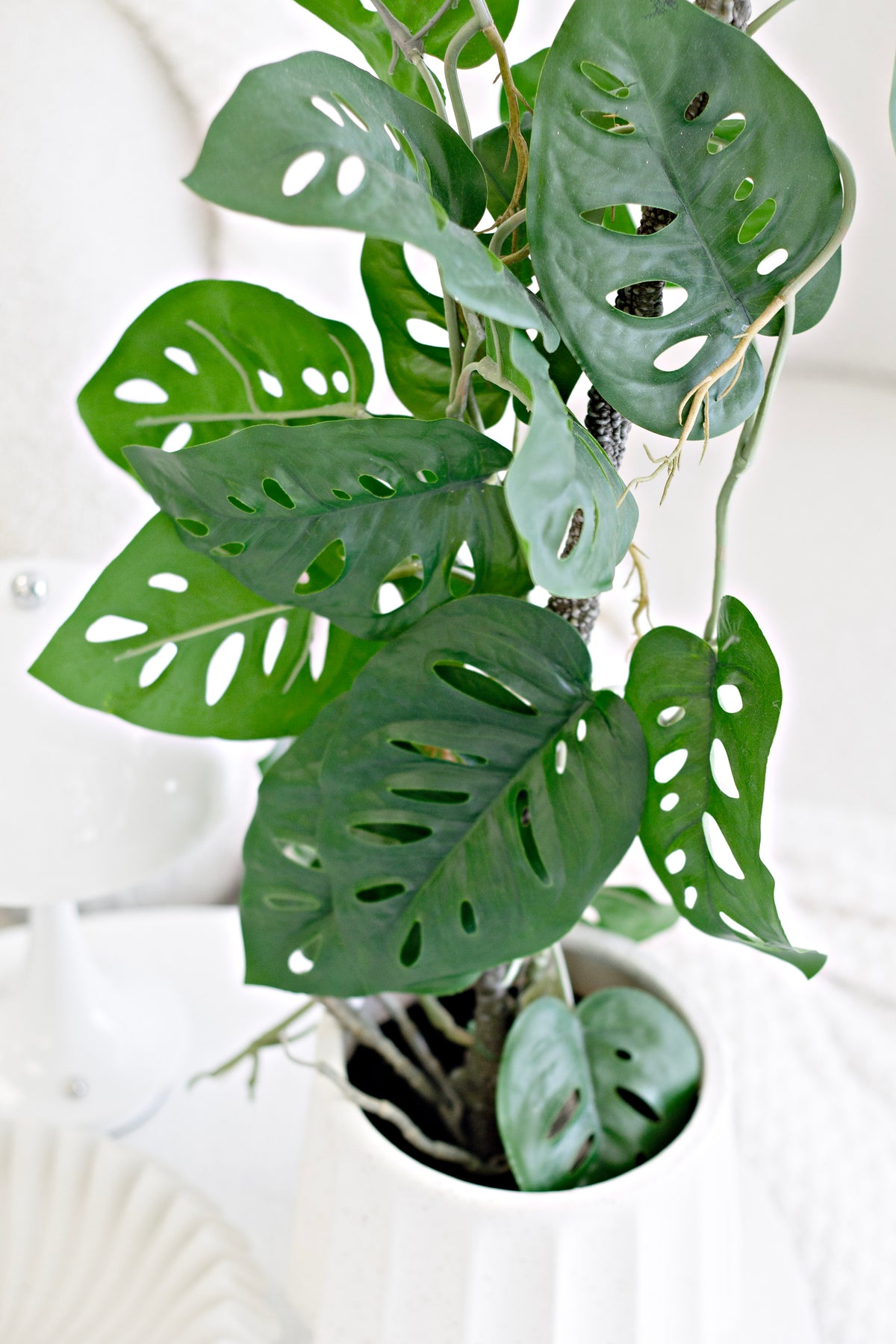 Swiss Cheese Vining Plant, 63.5cm Potted Faux Monstera